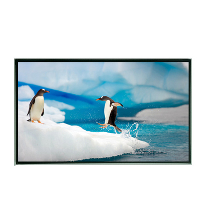 11.6 Inch LCD Display Module 1920 X 1080 30PIN EDP Interface Tft Monitor Lcd