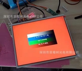 12.2 Inch TFT LCD Monitor 30PIN Industrial LCD Panel Screen 880 X RGB X 1080