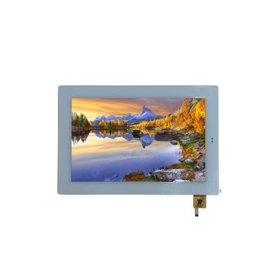 1920x1200 10.1 Inch Display Tft LCD Capacitive Touchscreen Display Panel 45pin LVDS