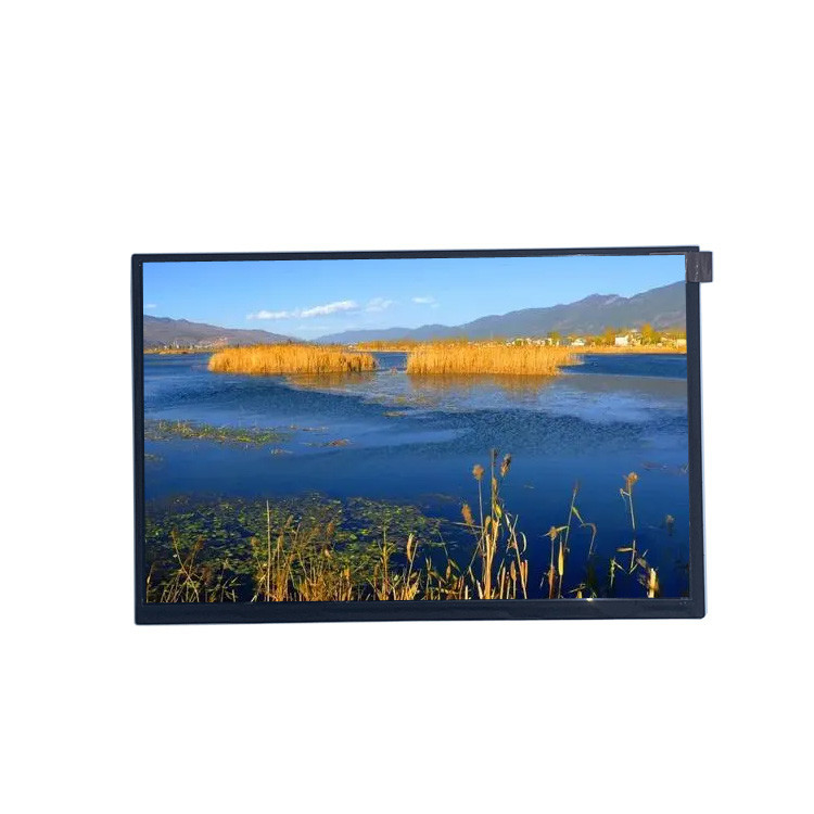 10.1in  IPS LCD Display 1280x800  Tablet Ips Lcd Monitor 10.1 Ips Display ROHS