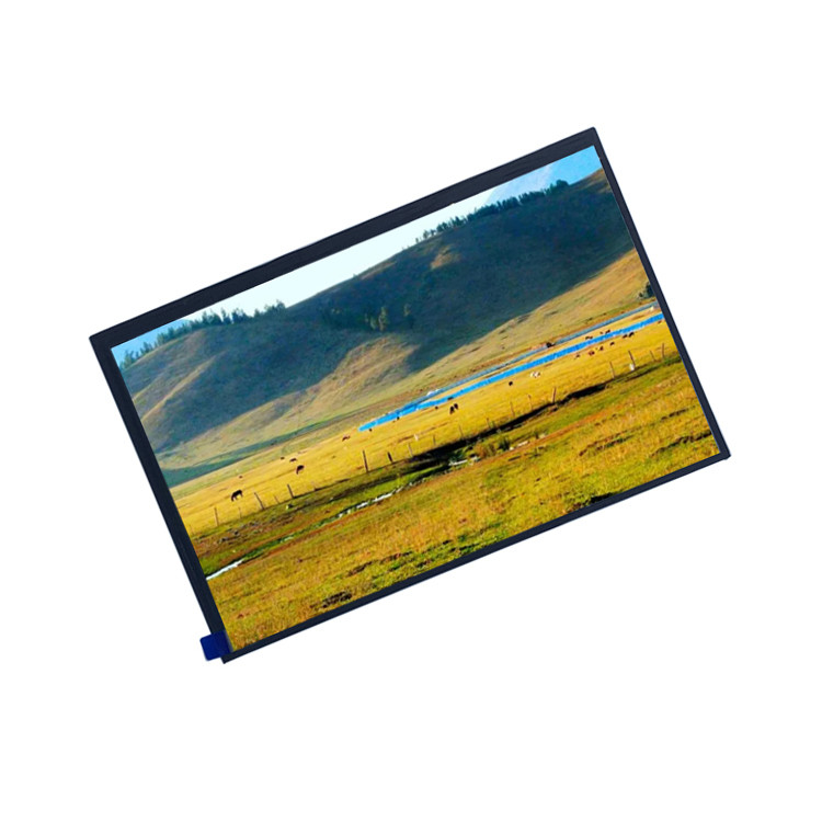 216.96 X 135.60mm TFT LCD Display ILI6192 ILI5801 Color Tft Lcd Display Module